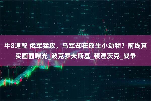 牛8速配 俄军猛攻，乌军却在放生小动物？前线真实画面曝光_波克罗夫斯基_顿涅茨克_战争