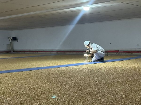 永之胜 在天府粮仓 看每一粒粮食如何吃饱睡好用足？